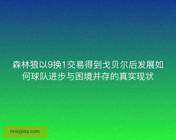 森林狼以9换1交易得到戈贝尔后发展如何球队进步与困境并存的真实现状